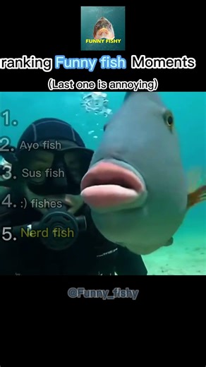 Funniest Fish Moments Ranked 🐠😂 #bestfunny #funny #fish #memes #shorts #spongebob #subnautica