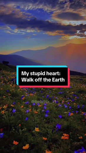 My Stupid Heart by Walk off the Earth