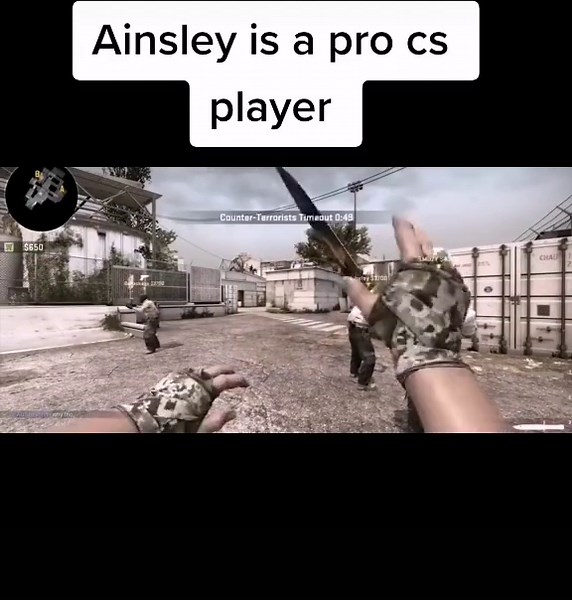 Thank you guys so much for 13.8k likes and 800 followers ❤️🙏 #fitz #ainsley #foryoupage #fry