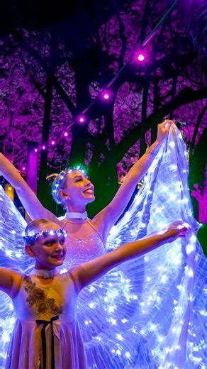 We were honoured to open the 2025 Jacaranda Festival with our performances at ✨ Illuminate at See Park! ✨ The dancers lit up the park with energy, passion and sparkle, the perfect way to kick off the festival celebrations! Seeing the community come together and share in the excitement made it an unforgettable night. But the fun doesn’t stop there! Our dancers are keeping the festival magic alive with more incredible performances at Market Square this weekend. 🎶 Dance Spectacular Friday at 7pm �