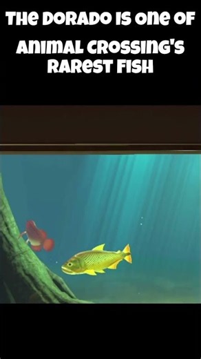 What Fish Costs 15,000 Bells & Is Golden | Animal Crossing: New Horizons 🪙💰