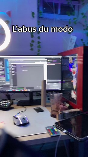 Creative Computer Setup in a Cozy Room