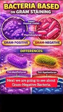Gram Positive vs Gram Negative Bacteria | Easy Explanation. #Microbiology #BiologyShorts #NEET