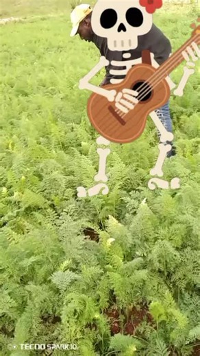 Videos de lifet belvag st pierre (@jeanfritzner38) con “Pa dekouraje - Frère Parent Alain Picard”