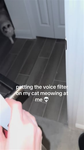 Funny Cat Voice Filter Meow