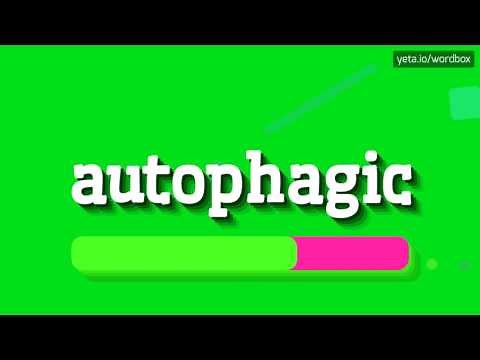 AUTOPHAGIC - HOW TO PRONOUNCE AUTOPHAGIC?