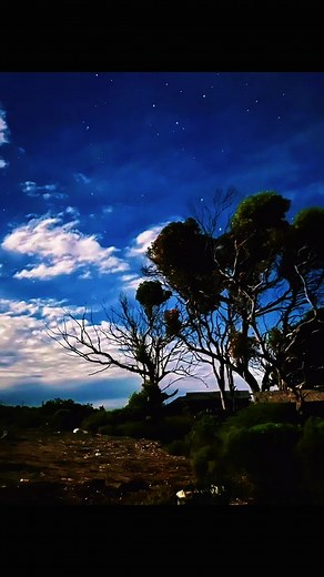 南非開普敦（Cape Town）旅程，從開普角（Cape Point）的壯麗海岸、好望角的野生斑馬，到穆曾堡（Muizenberg）的鐵道與絕美夕陽 #SouthAfrica #CapeTown #GoodHope #南非旅遊 #好望角 終於來到了這座山海交匯的城市 🌊。 在好望角吹著印度洋和大西洋的風， 看著斑馬在荒野漫步，在紫色的夕陽下吃一頓晚餐。 南非的浪漫，只有親自來過才會懂。✨