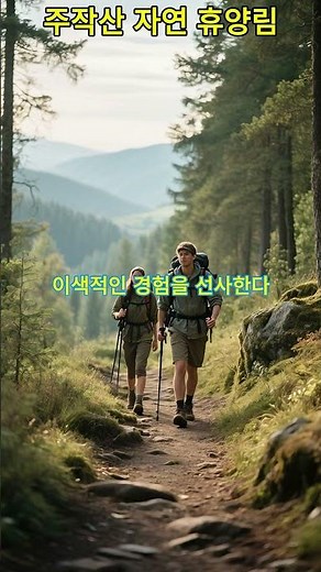 자연과 함께 숨쉬는 편안한 공간 주작산자연휴양림 주작산자연휴양림..........#AI영상#풍경#AI#여행가볼만한곳#바다#AI쇼츠#해변#원차박#넘버원여행#여행#산#주작산자연휴양림