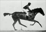 Sallie Gardner at Gallop