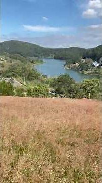 Panoramic view of Tuyen Lam Lake from above, seen from the pink grass hill in Da Lat, January 2, ...