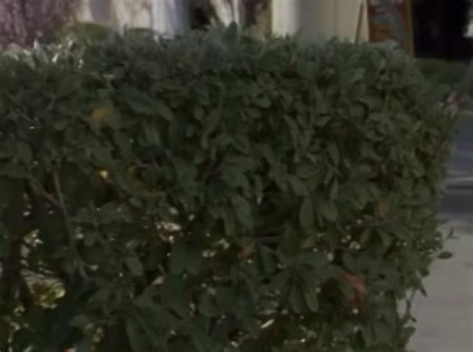 Monster Legacy #157: Demon Racer I ⚡️⚡️⚡️ Voiced By: Tom Fahn “Built For Speed” Demon Racer is a demon-like race car driving monster that is sent to use his super speed to plant a detonator disguised as fuzzy dice in a car. He then races the Green Turbo Ranger and crashes before blowing up, with Porto creating a clone of him named Demon Racer II. More Turbo Monster Legacy: https://morphinlegacy.com/legacy-database/the-seasons/the-saban-era/v-turbo/v-monsters/ #PowerRangers #Turbo | Morphin' Lega