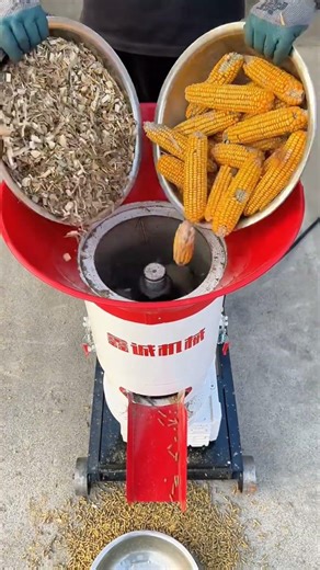 From Waste to Wealth The Ultimate Pellet Mill 🛠️ #PelletMill