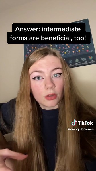 3 Misconceptions about Evolution