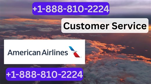 American Customer Service | Complete Traveler Support Guide