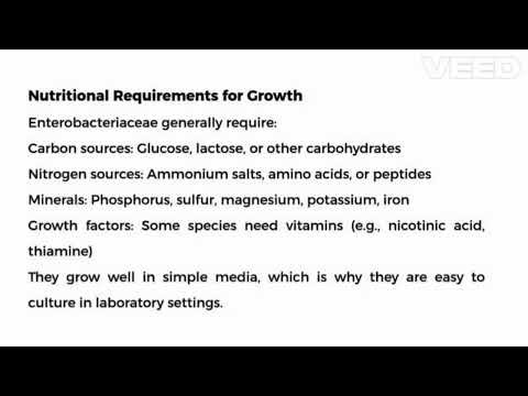 Bacterial growth: Enterobacteriaceae