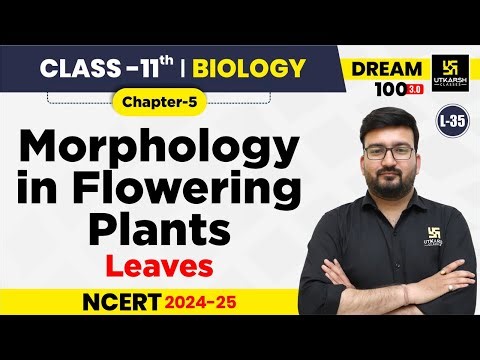 Class 11 Biology Chapter 5 | Morphology in Flowering Plants - Leaves | L-35 | Shubham Sir