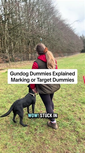Understanding Target Dummies for Gundogs
