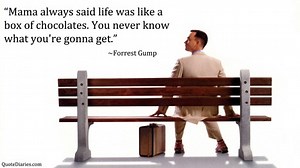 Life is like a Box of Chocolates…
