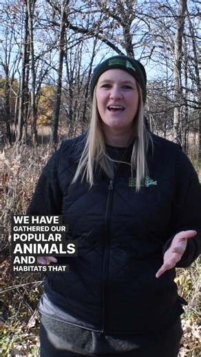 23 reactions | #WillCounty #WhatsTheDifference Chipmunks and squirrels are both rodents, but there are some key differences between them. | Lake Chaminwood Preserve | Facebook