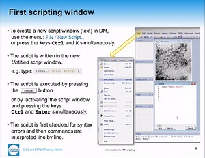 Introduction to Digital Micrograph Scripting