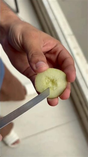 ( Try it 🐢🐾 ) #pets #shorts #fish #babyanimal