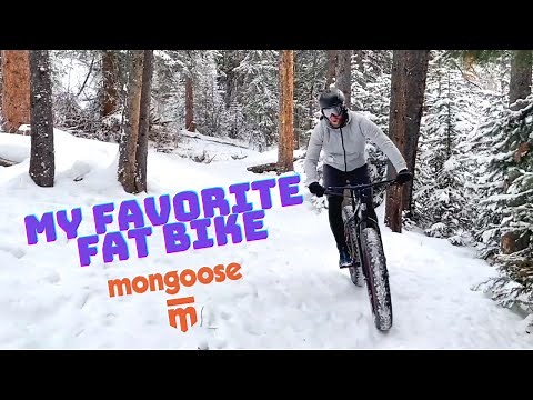 My New Favorite Fat Tire Bike- Mongoose Argus Sport Full Review