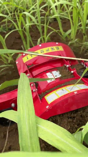 Multi-functional mini crawler tractor #一机多用省时省力省人工