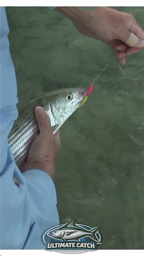 This Bonefish Didn’t Feel Right… Then We Saw It