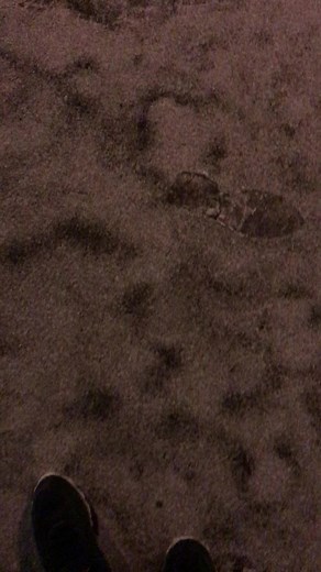 Exploring Feet Movement on Textured Carpet