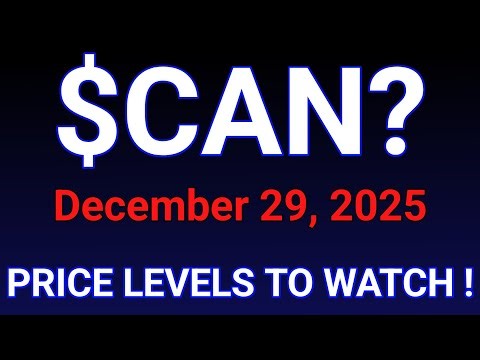 CAN Stock (Canaan Inc.) CAN Stock Analysis | December 29, 2025