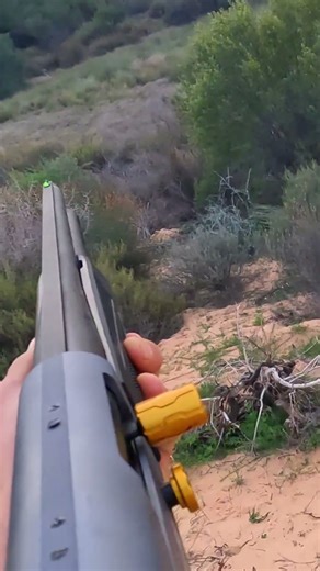 I hunted Pheasants with 12 Guage Shotgun! #hunting #outdoors