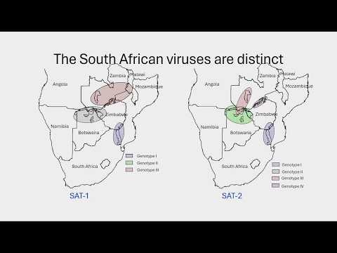 Dr. Shaun Morris, Ministerial Task Team Member | FMD Workshop, Limpopo, 20 January 2026