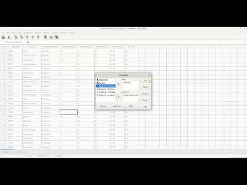 PSPP - Descriptive Statistics - Cross Tabulations