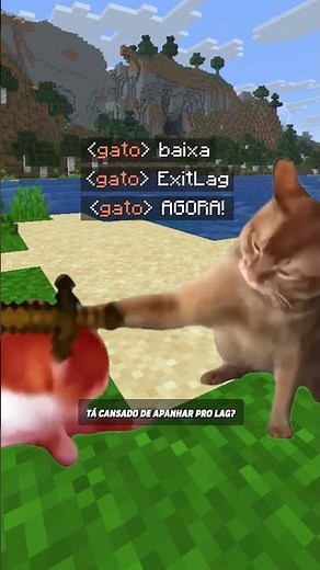 When even the kittens know that lag is a no-go 🐱💨