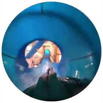 Watercoaster at Great Wolf Lodge in Mason Ohio