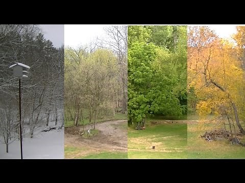 Winter, Spring, Summer, Fall - Seasonal Transition Timelapse