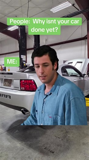 Cobra Meme: The Dilemma of First World Problems