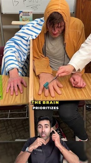 Can Your Brain Be Tricked Into Feeling a Fake Hand?