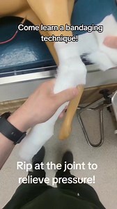 This tear technique is a must-know for your bandaging tool belt! The hock is one of the most common areas to develop bandage sores, and one simple way we avoid that is with a quick tear in the cast padding—reducing pressure right where it loves to build up. We’ve been using this method for years with great results, and I highly recommend adding it to your routine! Smart bandaging = happier patients. For more bandaging tips and tricks, check out our video library for FREE at patreon.com/briansban