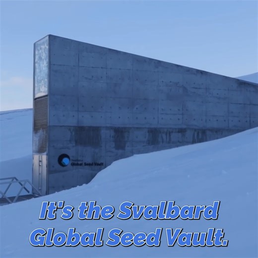 A Rare Look Inside the Svalbard Global Seed Vault (Closed 350 days Out of the Year!) | Veritasium