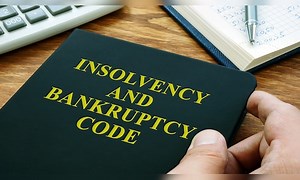 Need a functional IBC framework, not court-dependent solutions, say experts