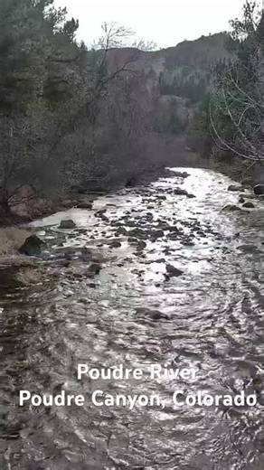 Poudre River Winter Flow | Cache la Poudre Canyon Colorado 🏔️