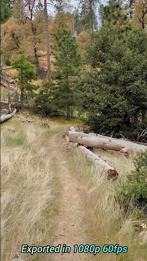 Video Test - 1080p 60fps