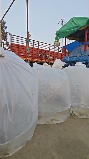 मछलियाँ #fishing #shorts #shortvideo #trend #trending #reels #amzing #fishing #fish #reels #fishlife