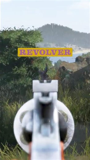Revolver! #dayz #gaming #gamingvideos #dayzgamers