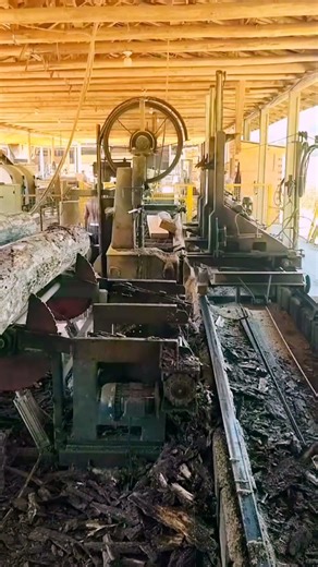 Sawmill Wood Machines