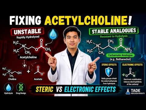Design of Acetylcholine Analogues