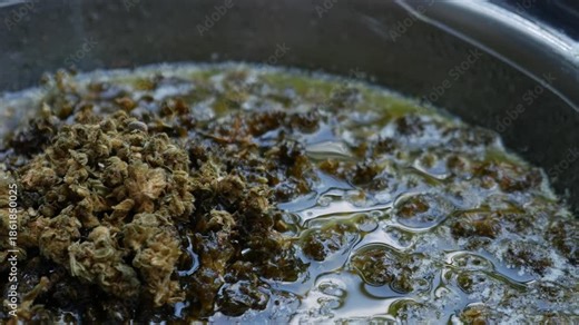Boiling Cannabis in Butter Double Boiler: Marijuana Infusion Cooking Process Bubbles Steam Cannabutter Making Method