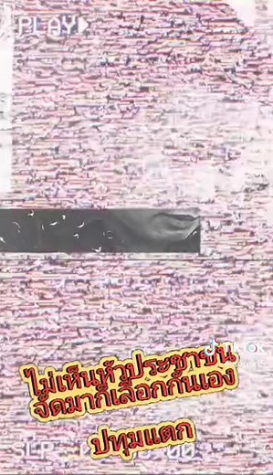 Understanding Thai Sign Language Through Gestures