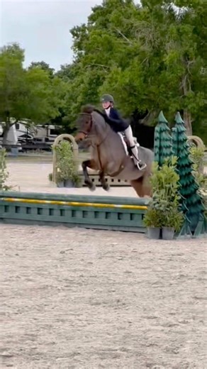 from the show #iceout #horse #equestrianjourney